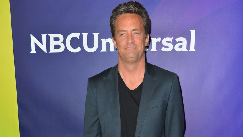 Matthew Perry, TV-Star