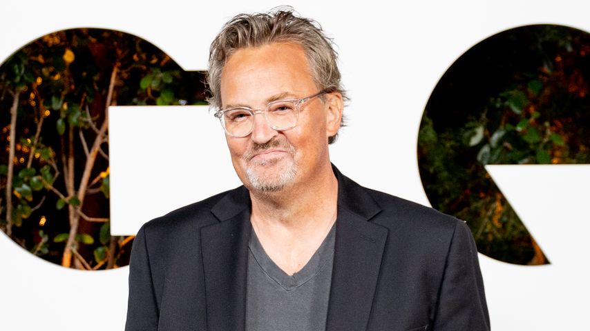 Matthew Perry, Schauspieler