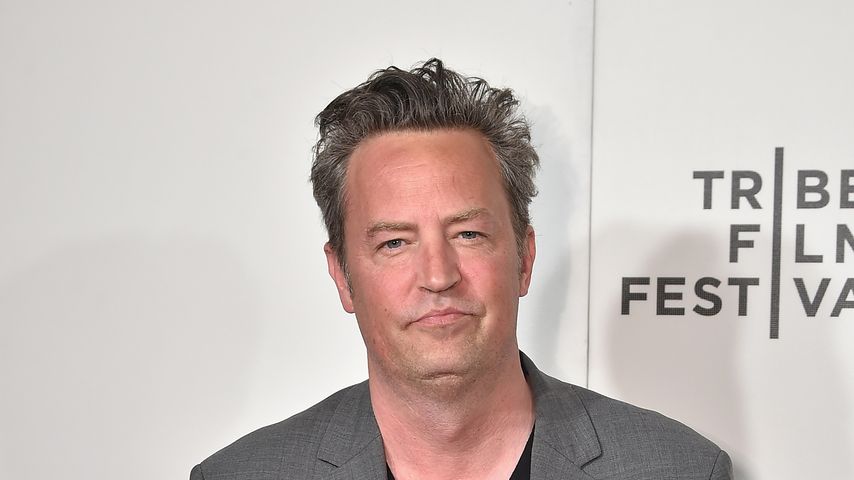 Matthew Perry, Schauspieler