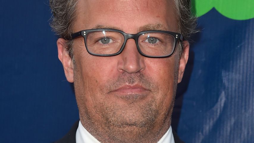 Matthew Perry, Schauspieler