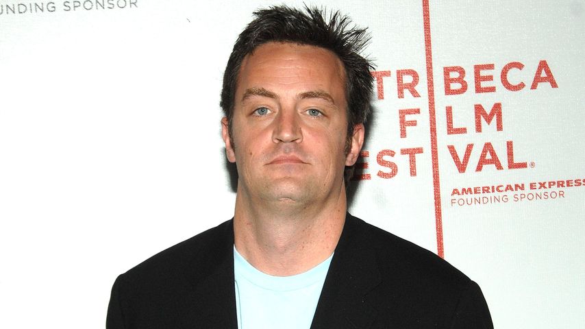 Matthew Perry, Schauspieler