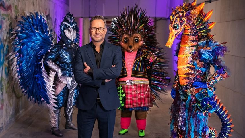Spoiler: Sind diese Stars bei "The Masked Singer" dabei?