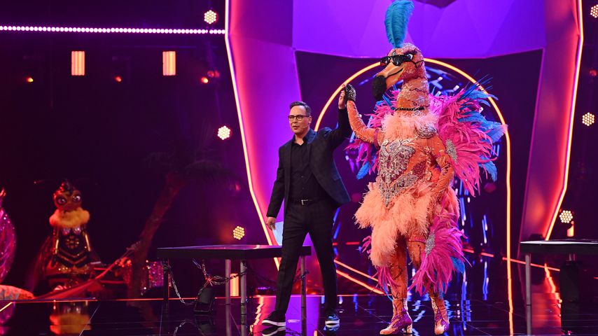 Matthias Opdenhövel und der Flamingo bei "The Masked Singer"
