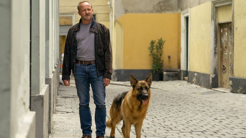 Mit diesem spannenden Fall startet "Kommissar Rex"-Reboot