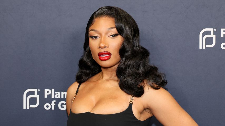 Megan Thee Stallion, Musikerin