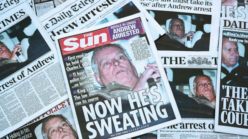 Skandal im Louvre: Ex-Prinz Andrews Polizeifoto hing dort