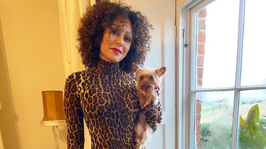 Steht Ex-Spice-Girl Mel B. kurz vor ihrem finanziellen Ruin?