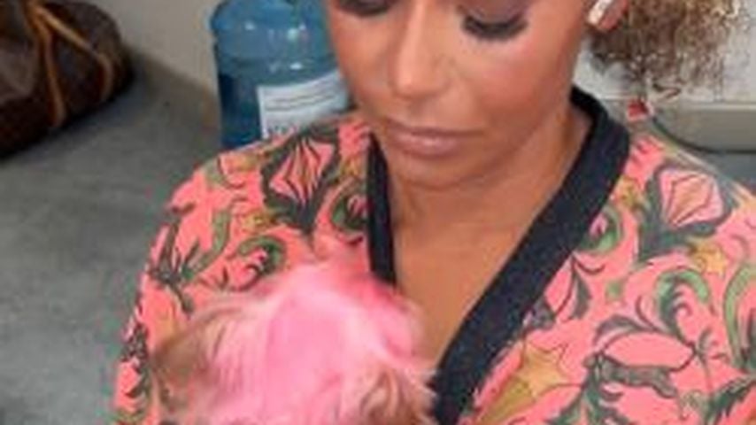 Ihr Hund hat pinkes Fell: Mel B. kassiert heftigen Shitstorm