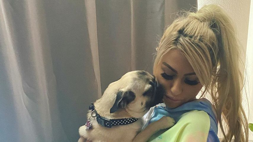Melanie Martin und der Mops von Aaron Carter, 2020