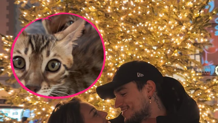 Von Vierbeinern: Melina Hoch und Max sind zweifache Eltern