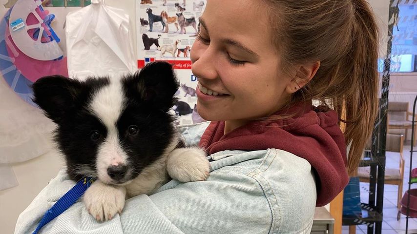 YouTube-Star Melina Sophie ist jetzt zweifache Hunde-Mama!