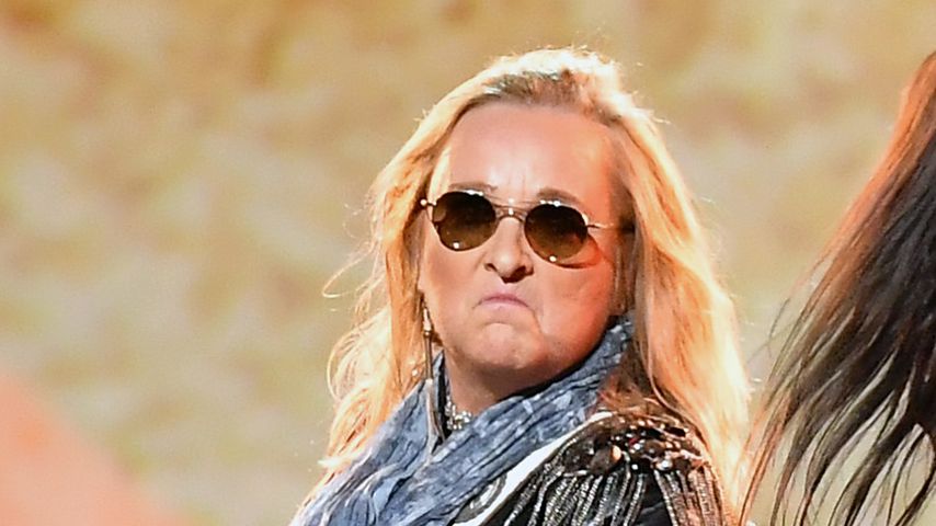 Melissa Etheridge, Sängerin