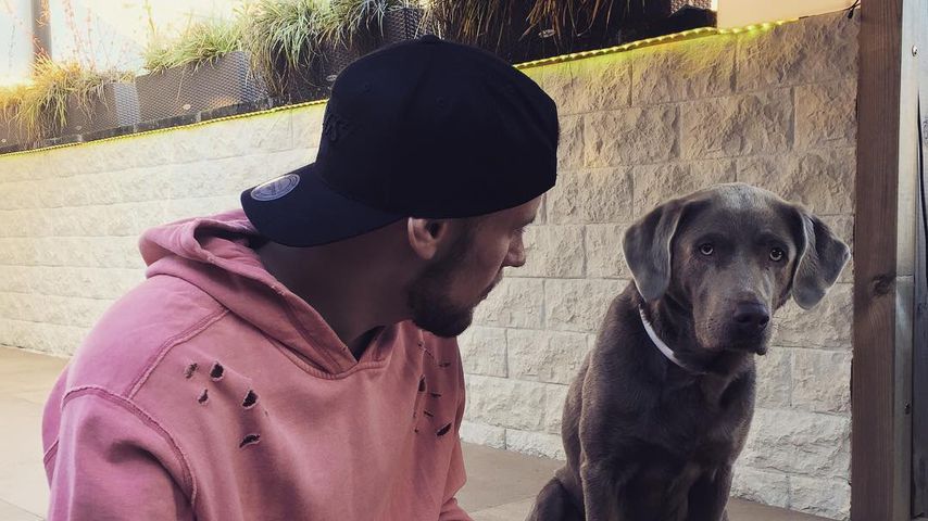 Melvin Pelzer mit seiner Hündin