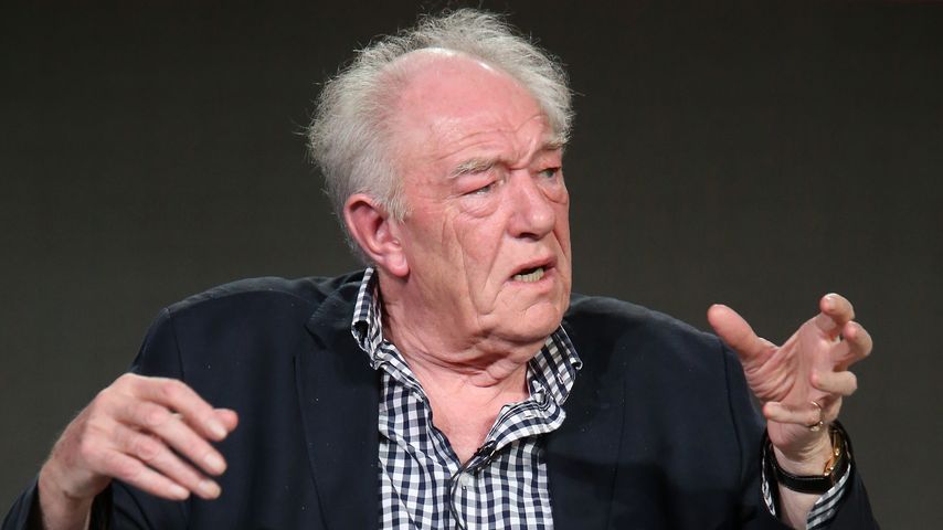 Michael Gambon, Schauspieler
