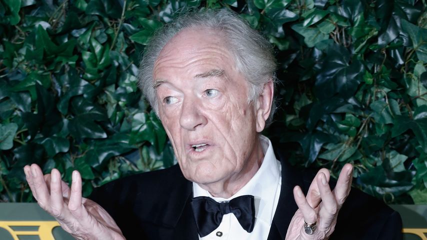 Darum gab Michael Gambon (†82) die Schauspielerei auf!