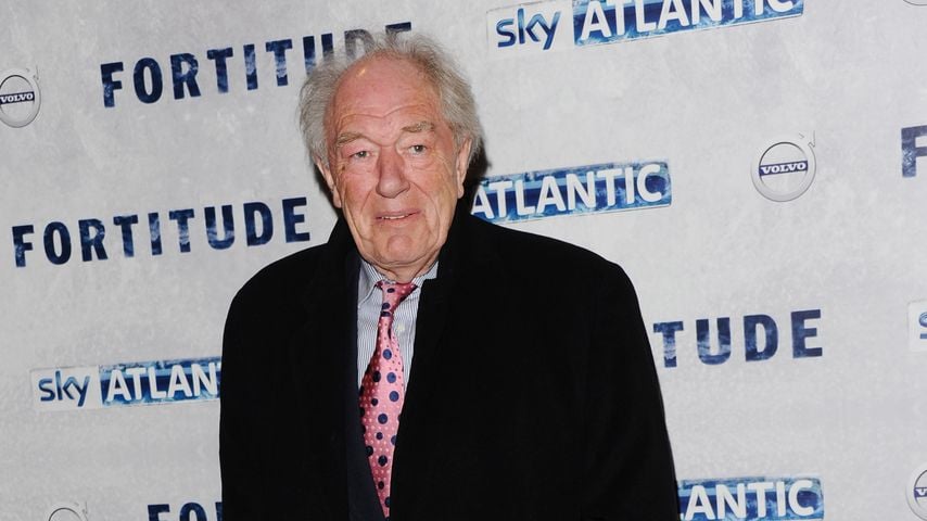 Michael Gambon, Schauspieler