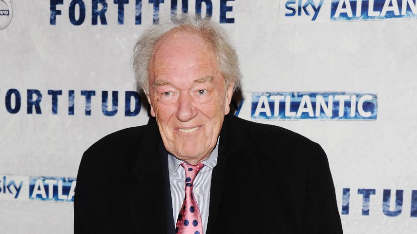 Michael Gambon, Schauspieler
