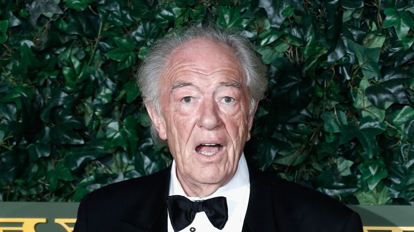 Michael Gambon, "Harry Potter"-Star