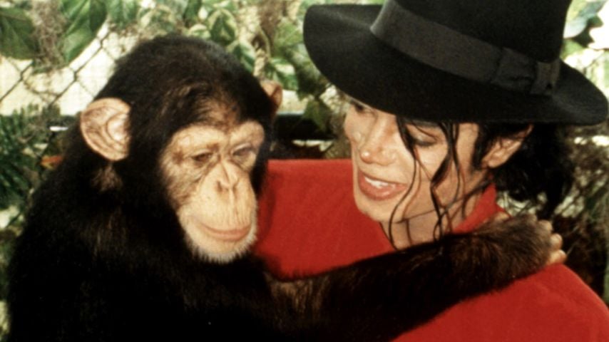 Michael Jackson mit seinem Affen Bubbles