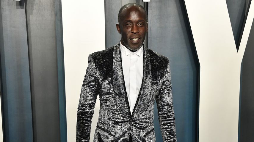 Michael K. Williams, Schauspieler