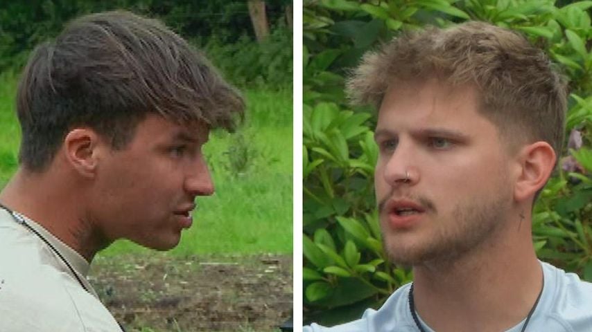 Hahnenkampf: Sommerhaus-Micha & Pascal gehen sich an Gurgel