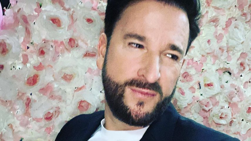 Michael Wendler, Schlagerstar