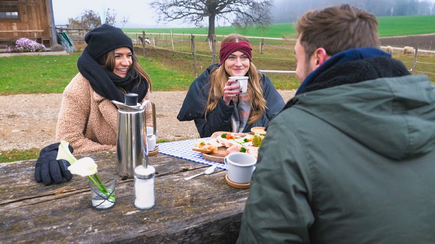Diese Bachelor-Girls haben den größten Instagram-Zuwachs
