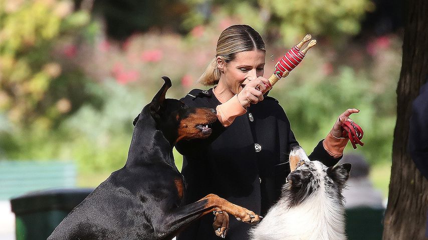 Zauberhaft: Michelle Hunziker tobt ausgelassen mit Hunden