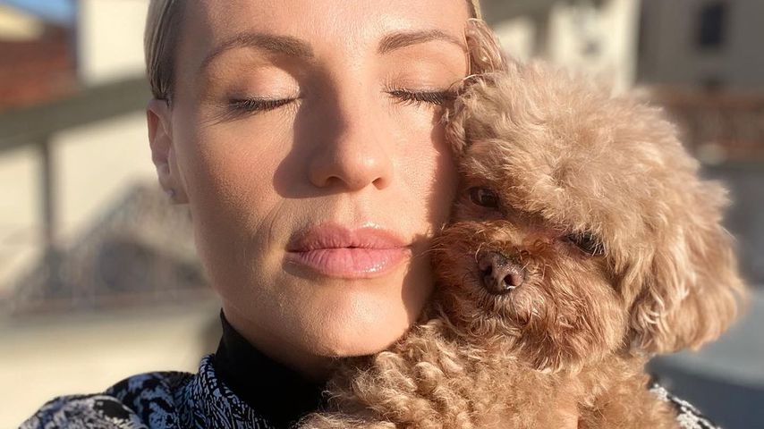 "Elf wundervolle Jahre": Michelle Hunziker trauert um Hündin