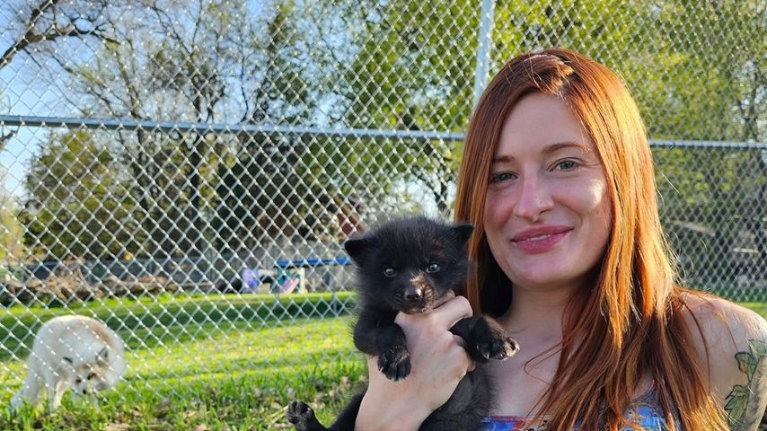 Mikayla Raines, Social-Media-Star