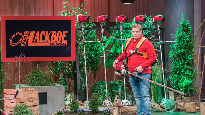 Kein "Höhle der Löwen"-Deal: Ist Hackboe-Gründer enttäuscht?