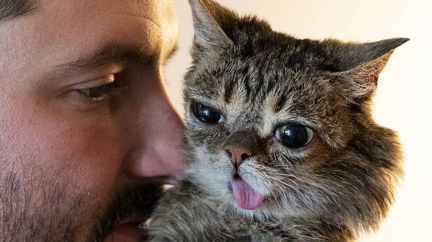Mike Bridavsky und Lil Bub