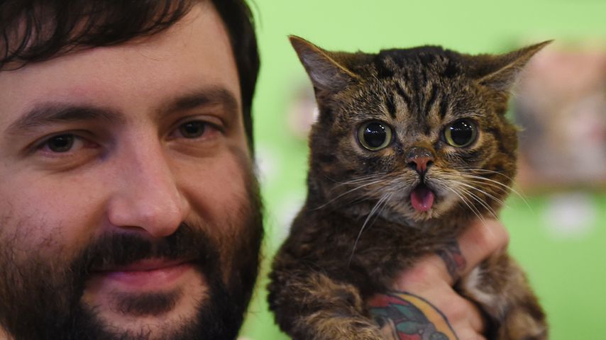 Mike Bridavsky und Lil Bub