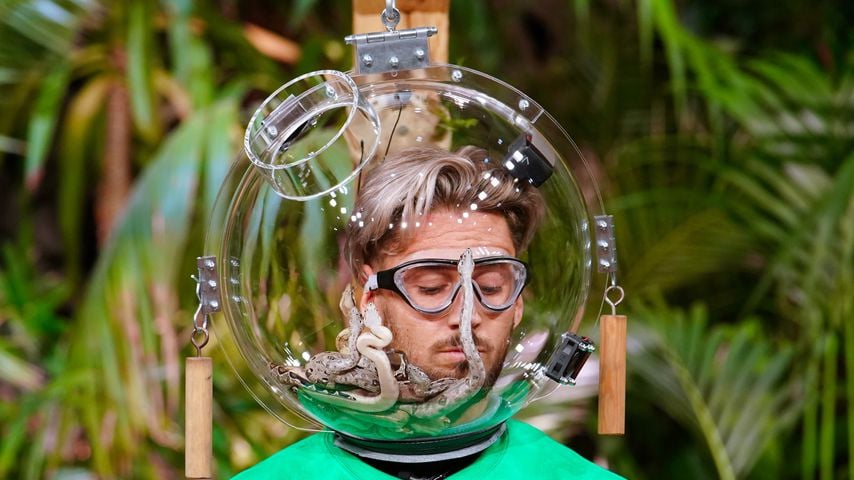 Mike Heiter in der Dschungelprüfung