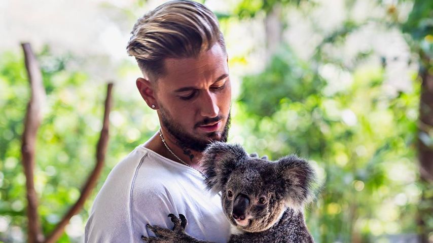 Während Elena im Dschungel ist, sorgt sich Mike um Koalas!