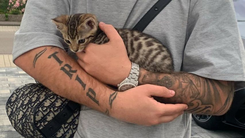 Mike Singer mit seiner Katze