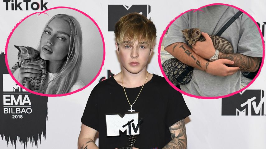 Paar-Indiz? Influencerin kuschelt mit Mike Singers Katze
