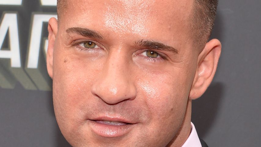 Mike "The Situation" Sorrentino, Reality-TV-Star