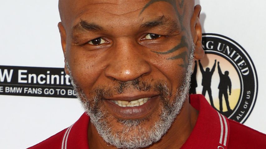 Mike Tyson, Box-Legende