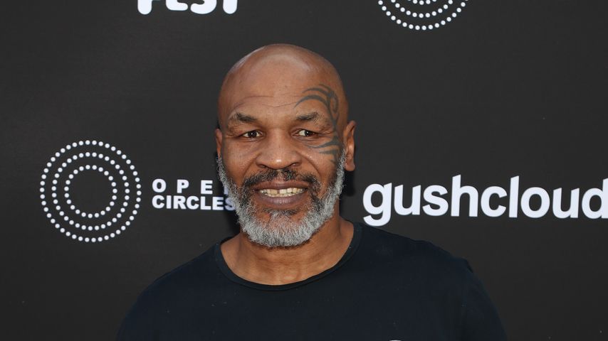 Mike Tyson, Profisportler