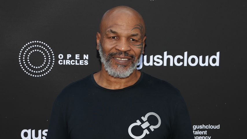 Mike Tyson, 2019