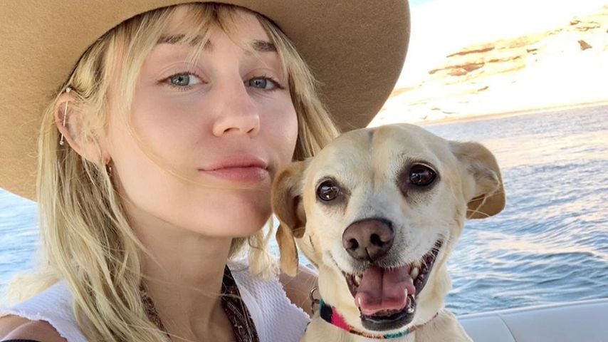 Miley Cyrus und Hund Bean, September 2019