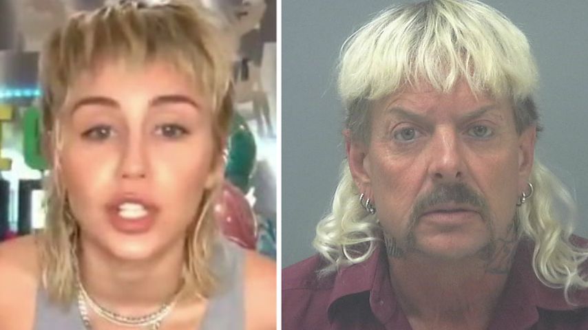 Fans amüsiert: Miley Cyrus sieht aus wie "Tiger King"-Joe