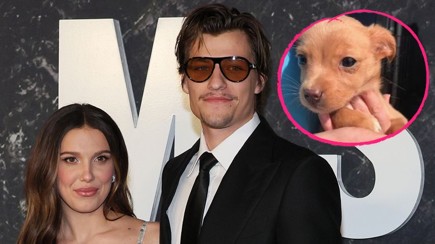 Millie Bobby Brown und Jake begrüßen neuen Familienzuwachs!