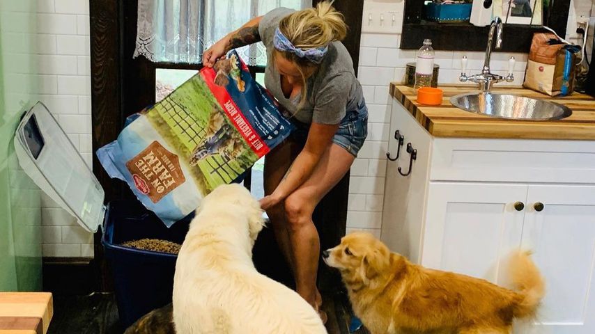 Miranda Lambert mit ihren Hunden im Juli 2020