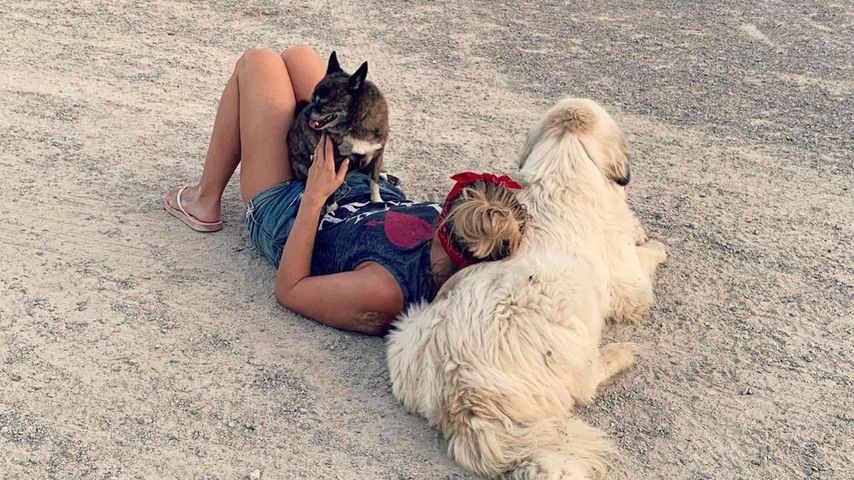 Miranda Lambert mit ihren Hunden