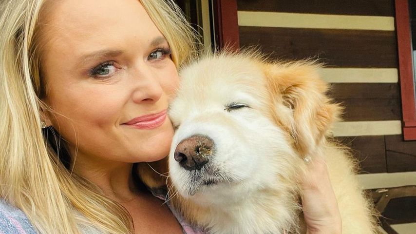 "13 Jahre geliebt": Miranda Lambert trauert um ihre Hündin