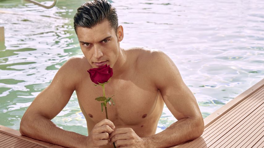 Miros "Bachelor in Paradise"-Fazit: Er will Bachelor werden