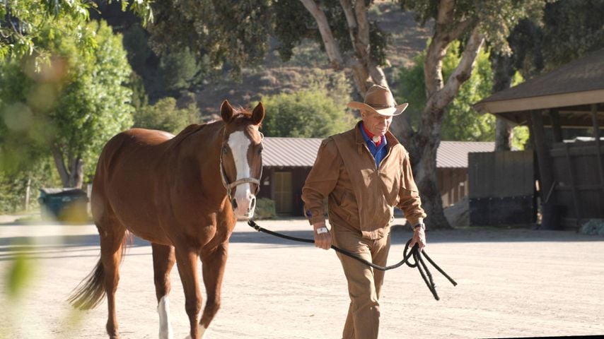 Monty Roberts in "The Cowboy and the Queen"