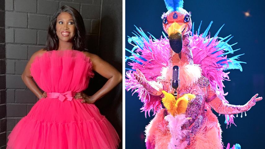 Könnte der "The Masked Singer"-Flamingo Motsi Mabuse sein?
